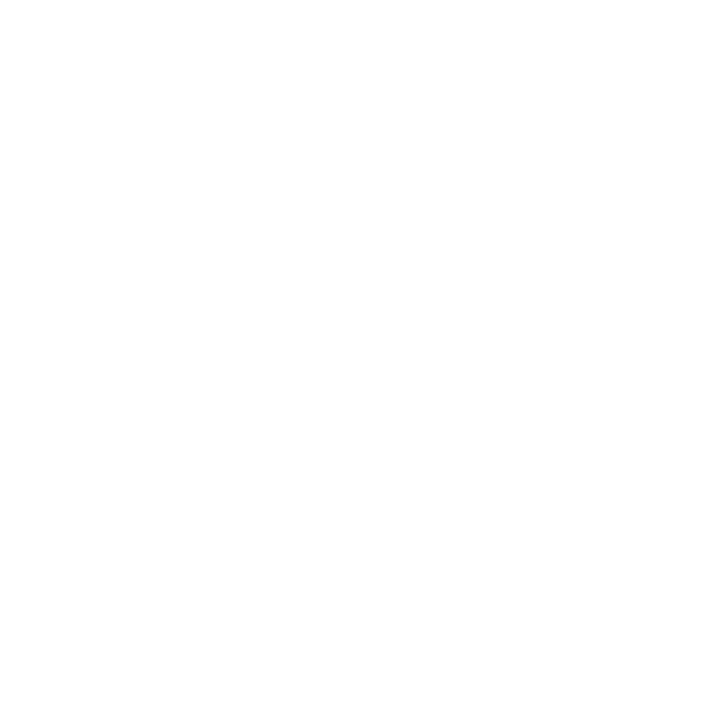 ANTARES EXPLORATION ANTARES EXPLORATION